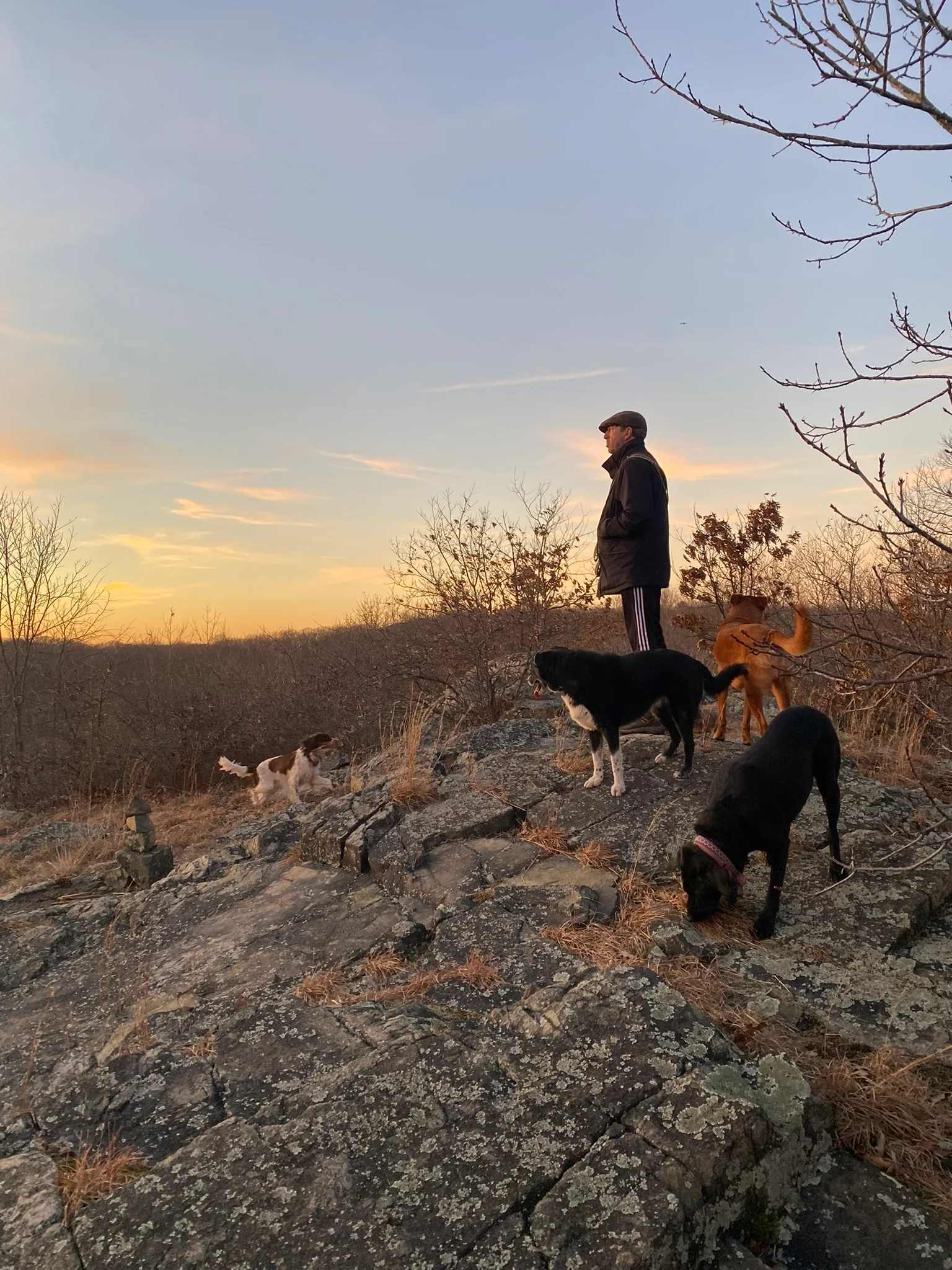 Ian at a rocky overlook with dogs