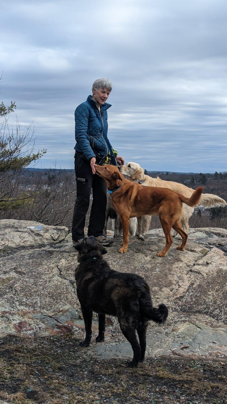 Leslie hiking with several dogs at a woodland overlook